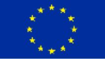 Flaga Unii Europejskiej — informacje o projekcie